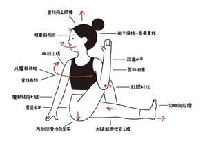 大阳城集团娱乐瑜伽图解笔记：从入门到精通一本搞定(图3)