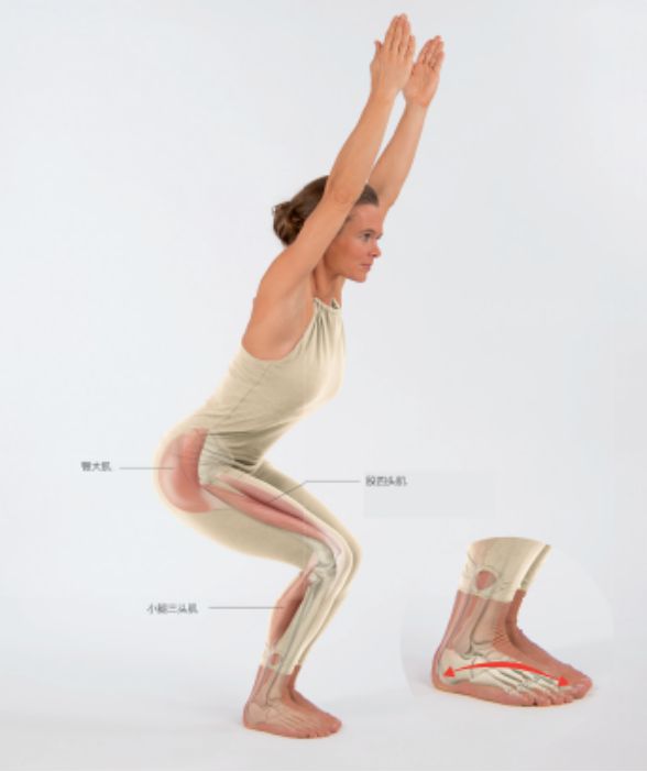 大阳城集团娱乐如何利用瑜伽缓解疼痛、增强下肢力量？(图1)
