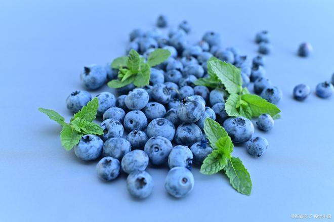 新品口味果然嗨蓝莓拉丝酸奶上新值得期待的水果捞！(图4)