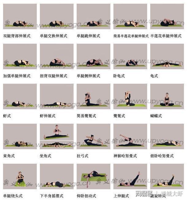 大阳城集团娱乐各种瑜伽体位图大全让你全方面了解瑜伽姿势(图1)