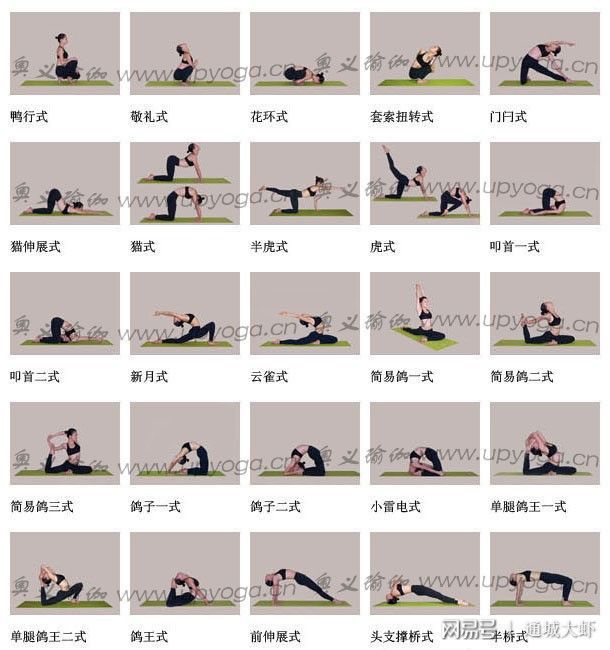大阳城集团娱乐各种瑜伽体位图大全让你全方面了解瑜伽姿势(图4)