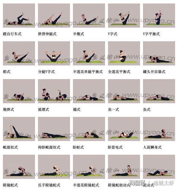 大阳城集团娱乐各种瑜伽体位图大全让你全方面了解瑜伽姿势(图2)