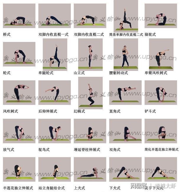 大阳城集团娱乐各种瑜伽体位图大全让你全方面了解瑜伽姿势(图5)