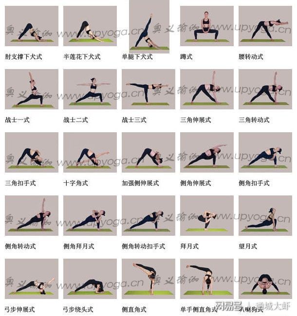 大阳城集团娱乐各种瑜伽体位图大全让你全方面了解瑜伽姿势(图6)