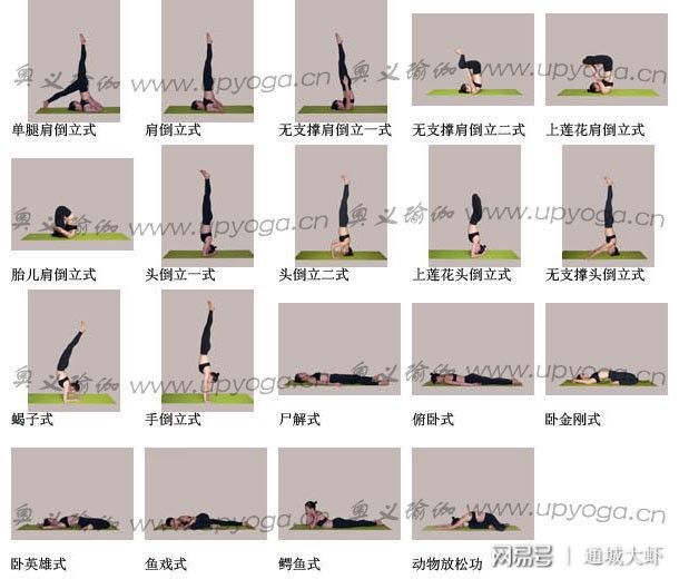 大阳城集团娱乐各种瑜伽体位图大全让你全方面了解瑜伽姿势(图8)