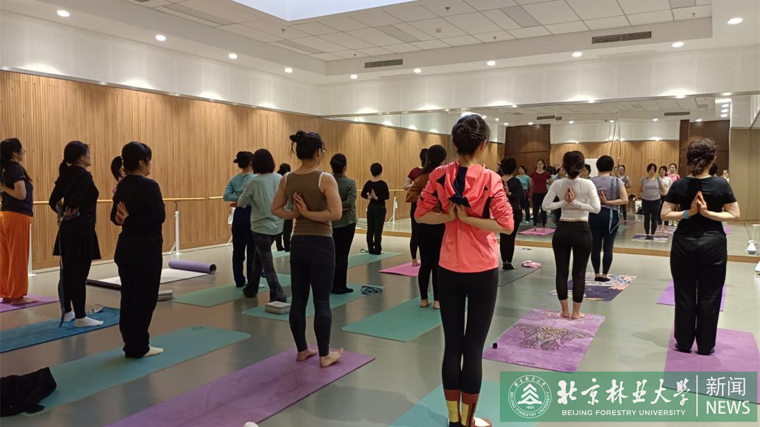 经管学院举办庆祝“三八”国际劳动妇女节瑜伽体验活动(图1)