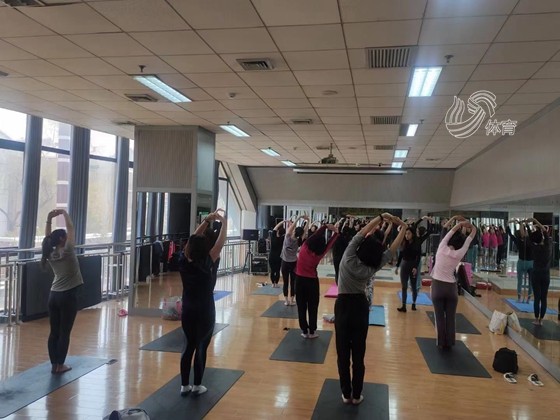 大阳城集团娱乐免费瑜伽体验！济南市全民健身中心开展庆“三八”妇女节主题活动(图1)