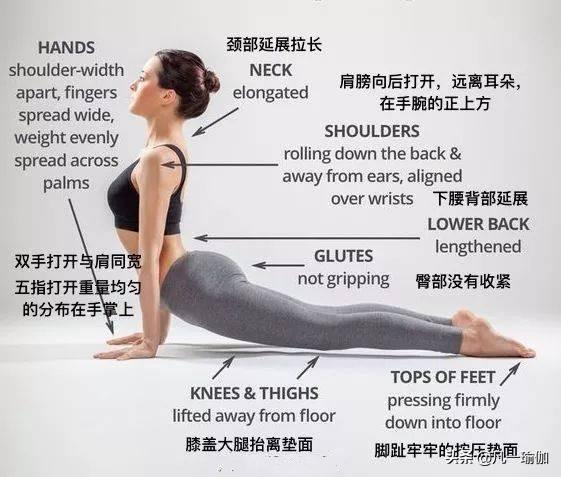 大阳城集团娱乐7张瑜伽细节图加练习注意事项分享给大家(图6)
