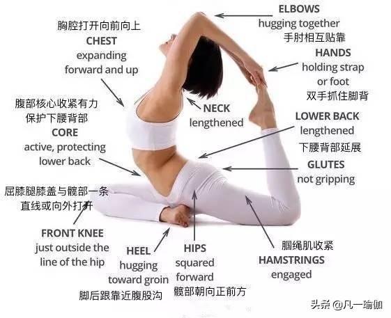 大阳城集团娱乐7张瑜伽细节图加练习注意事项分享给大家(图12)
