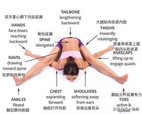 大阳城集团娱乐7张瑜伽细节图加练习注意事项分享给大家(图14)